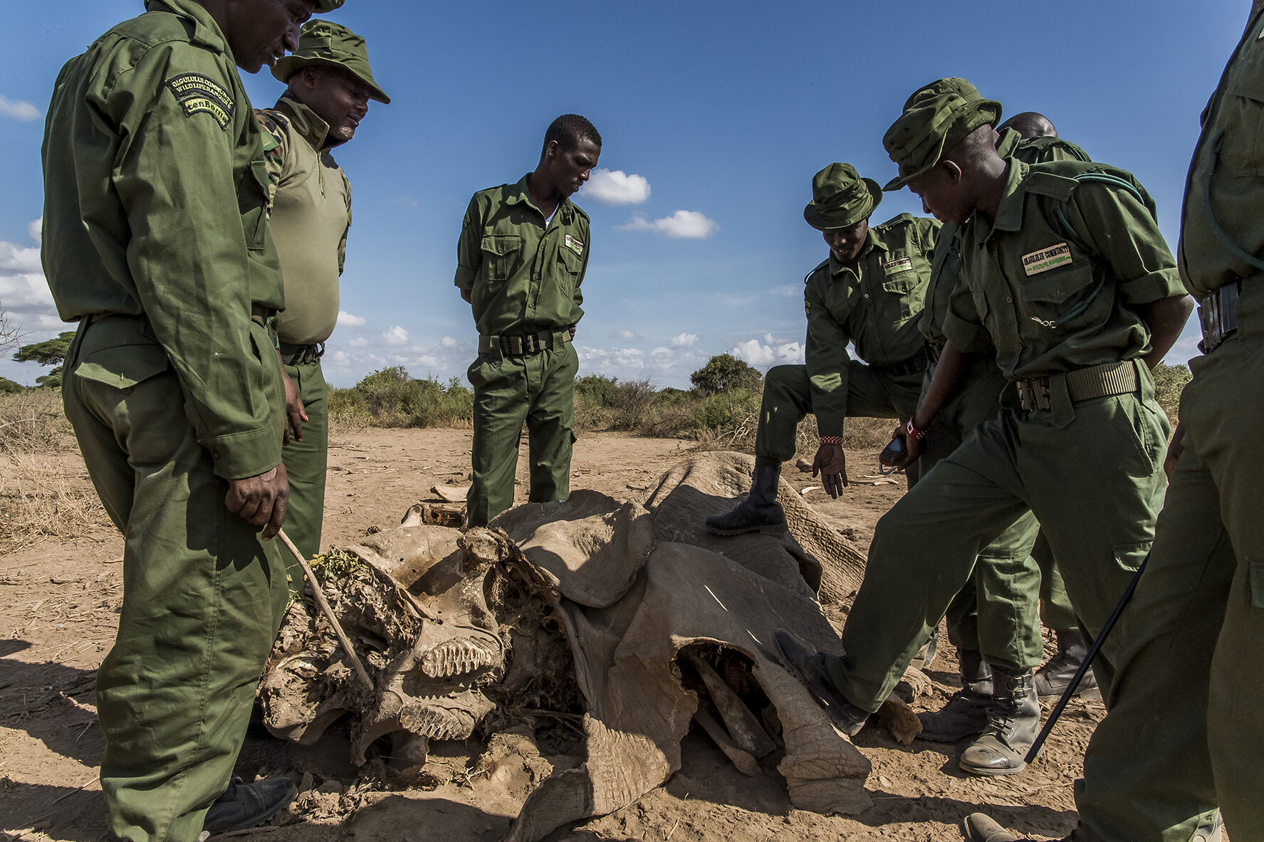 Patrick Papatiti (second from left), formerly Moran (Masai warrior) chats with IFAW wildlife protection officers around the dried-up corpse of an elephant in Tanzania, a few hundred meters from Kenya. These gamekeepers are recruited from the surroun