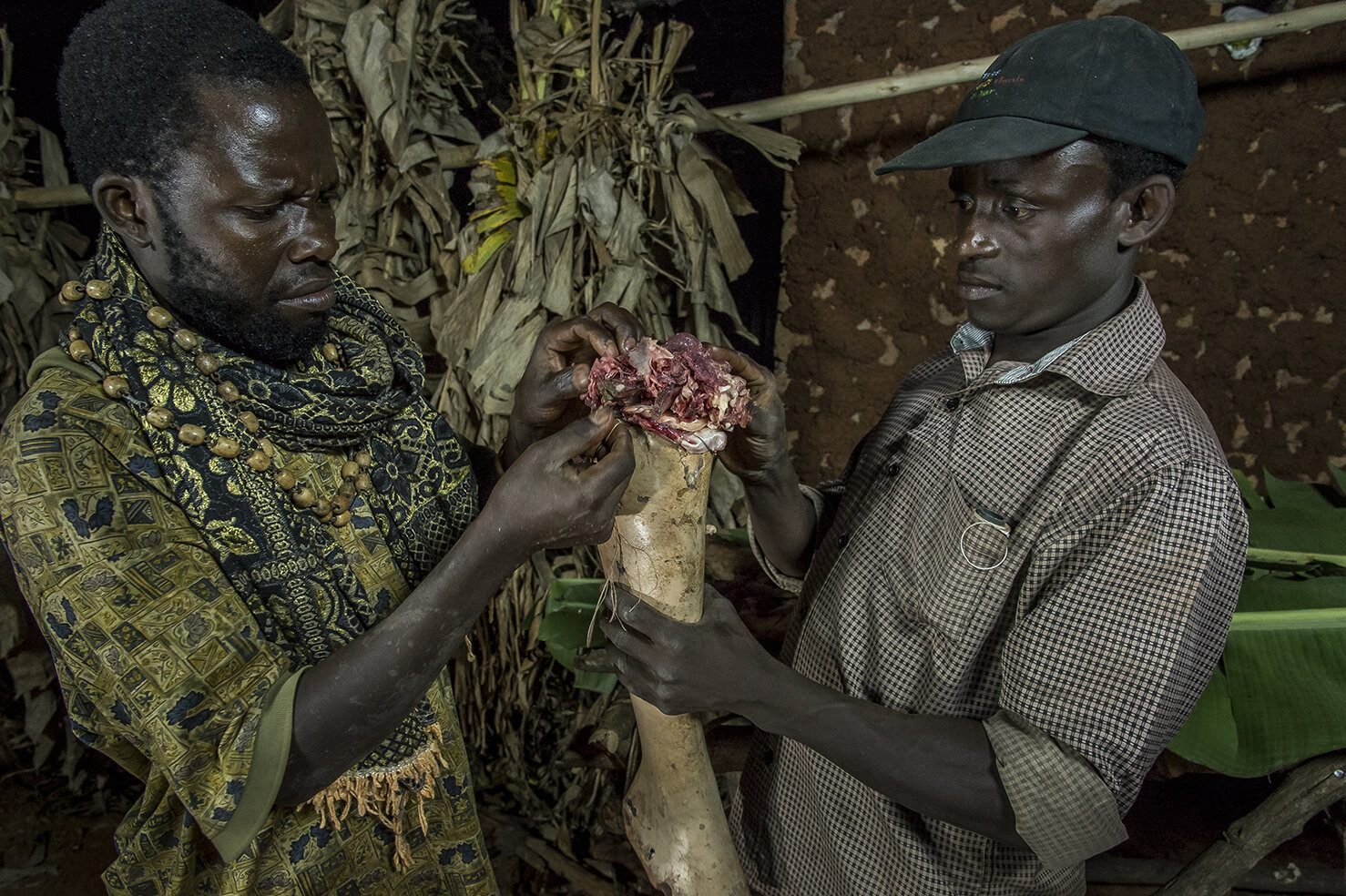  Members of Ramon Studio fill with goat meat the hollow leg of a plastic dummy for a special effect: the cutting of a human leg that cannibals will devour straight away. ICG and his team shoot « Eaten alive » a movie inspired by a cannibalism case wh