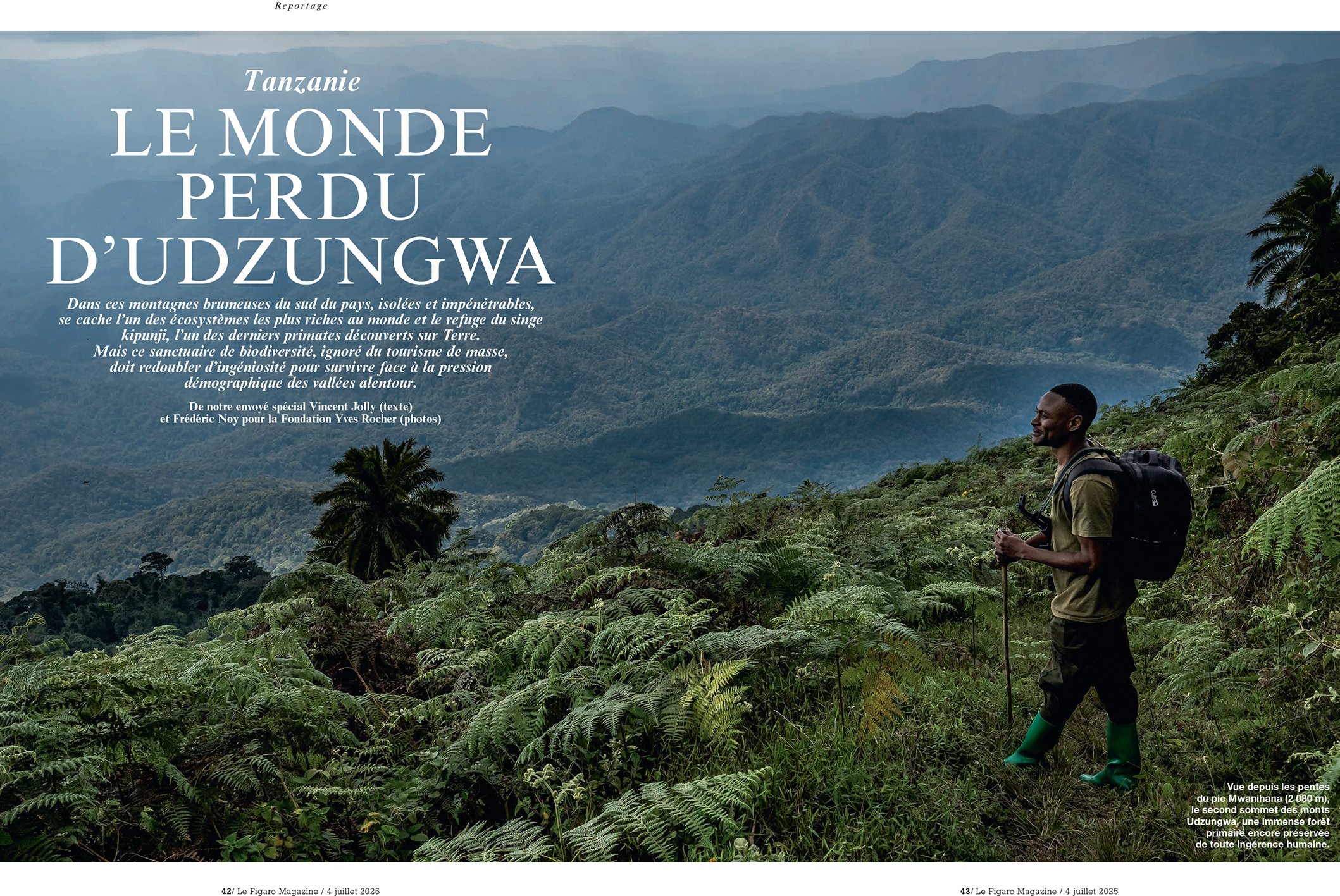 Le monde perdu d'Udzungwa