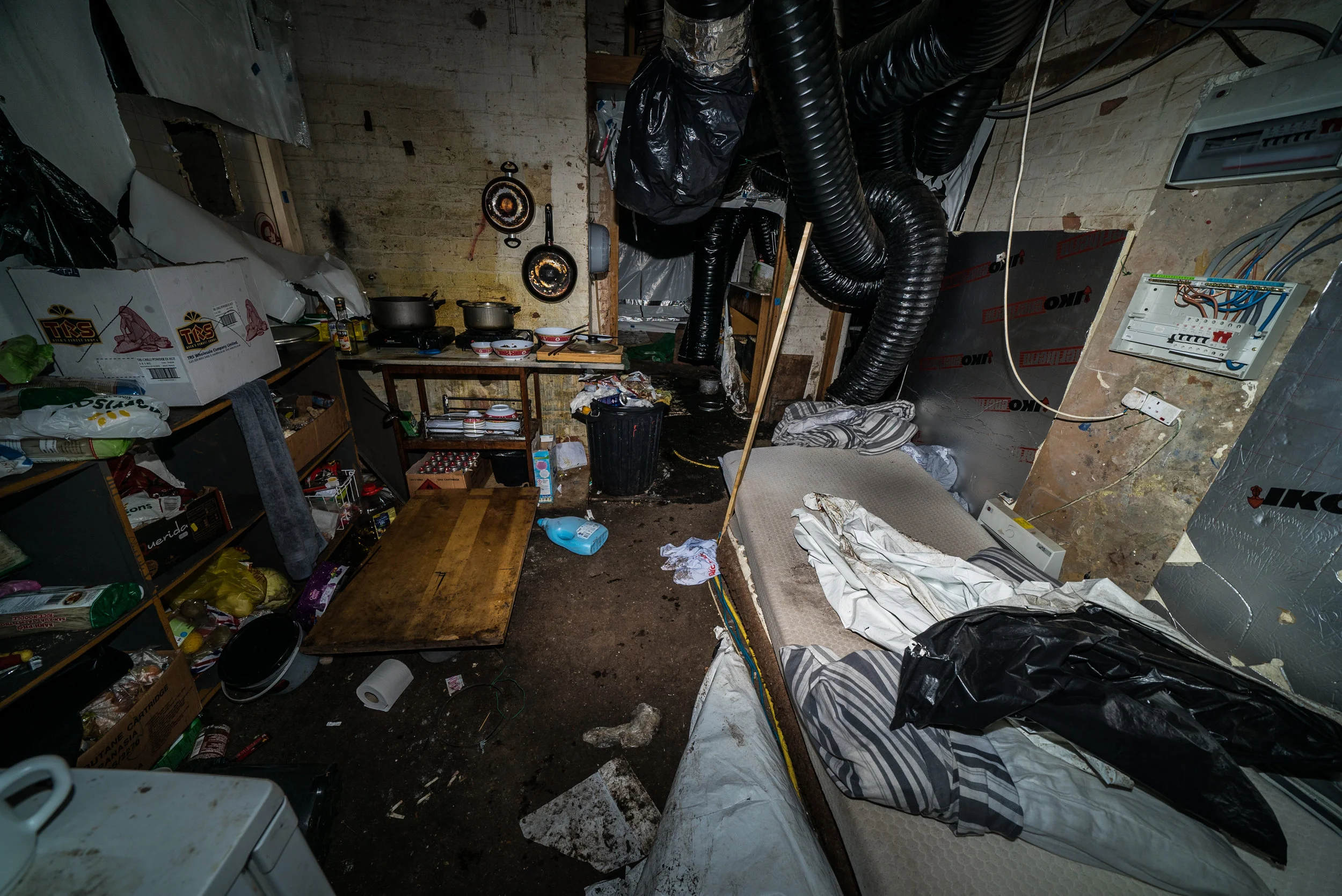Love definitely not the drug here! Photos from a raided North London Cannabis farm.