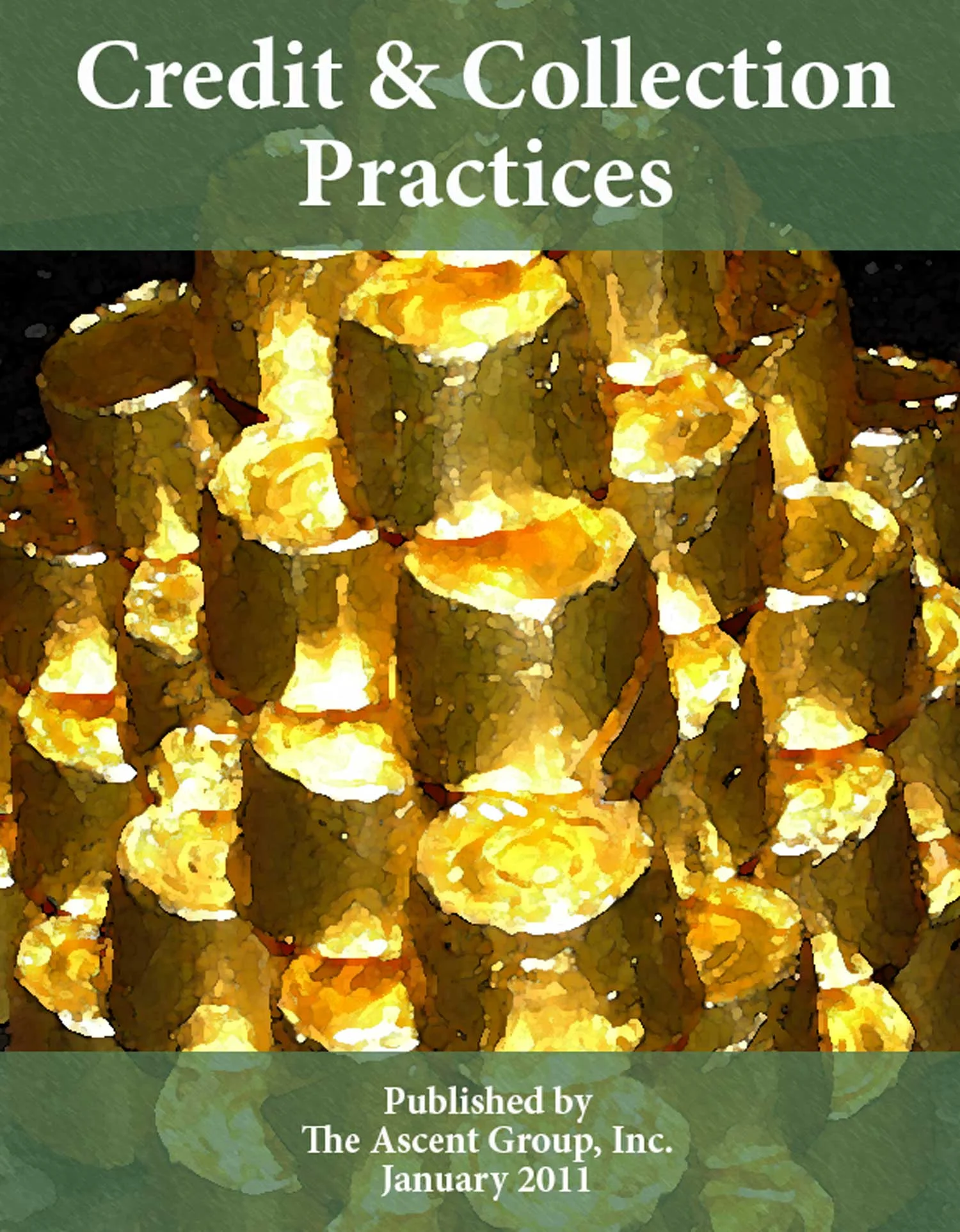 Credit & Collection Practices