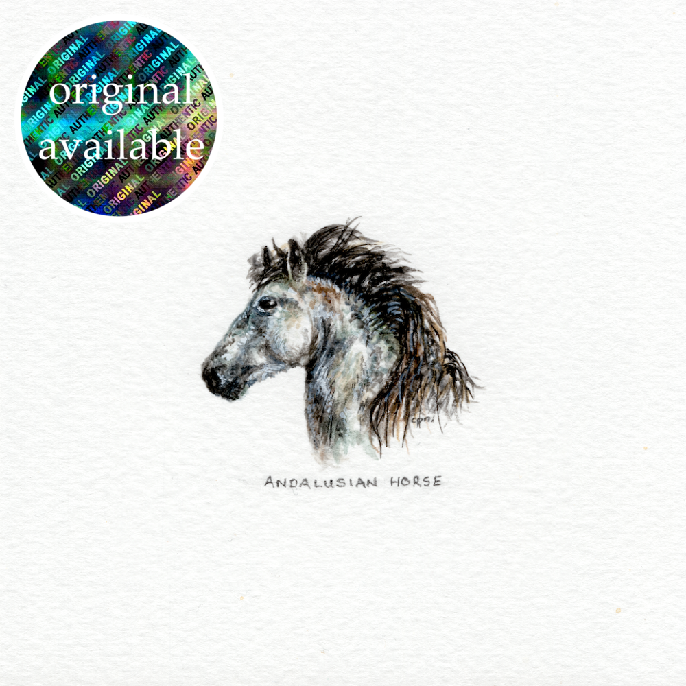 Andalusian Horse (Original).png