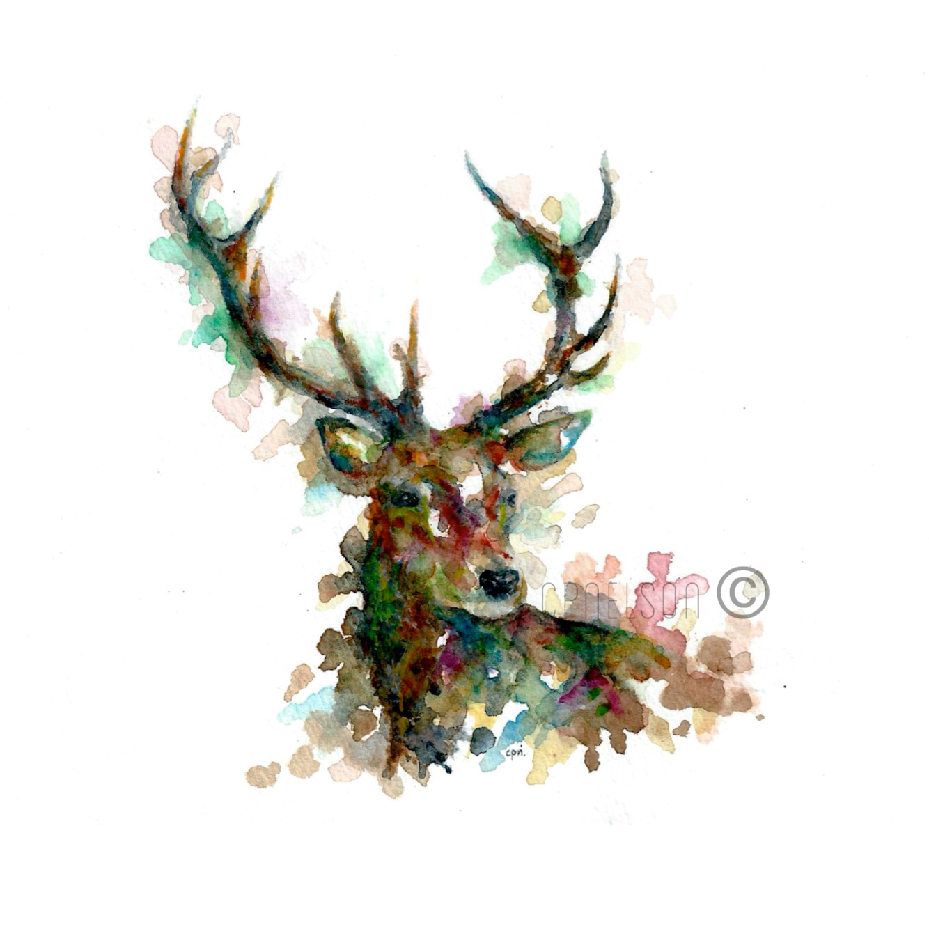 Red Stag.png