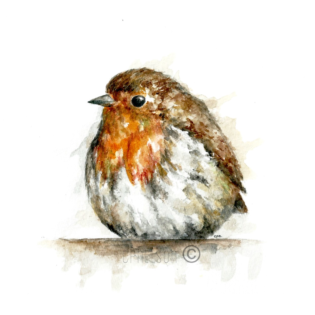 Robin Redbreast.png