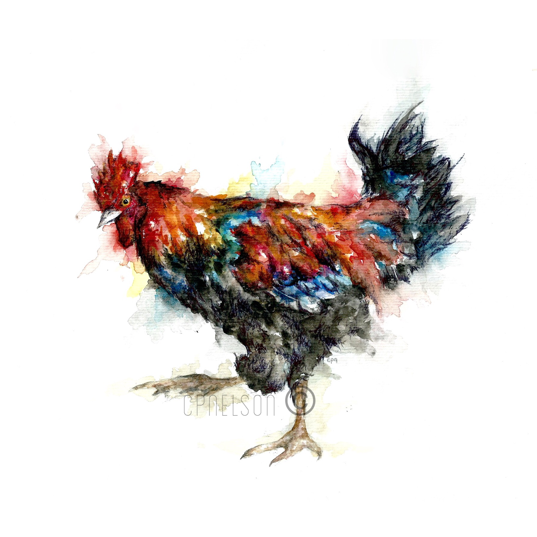 Cockerel.PNG