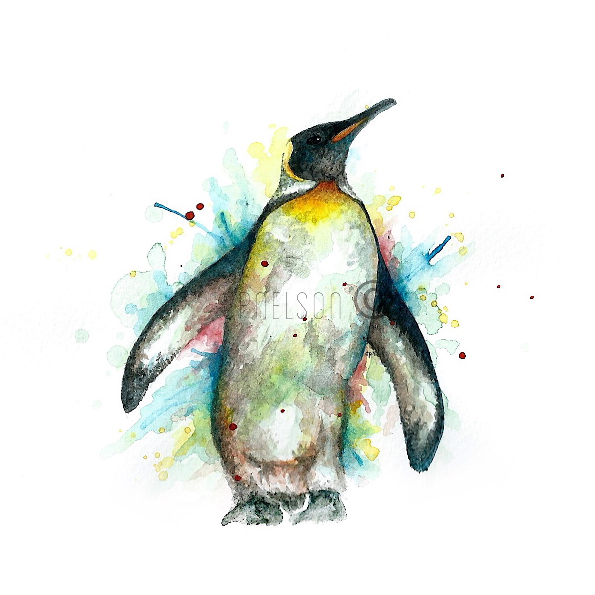 Emperor Penguin.png