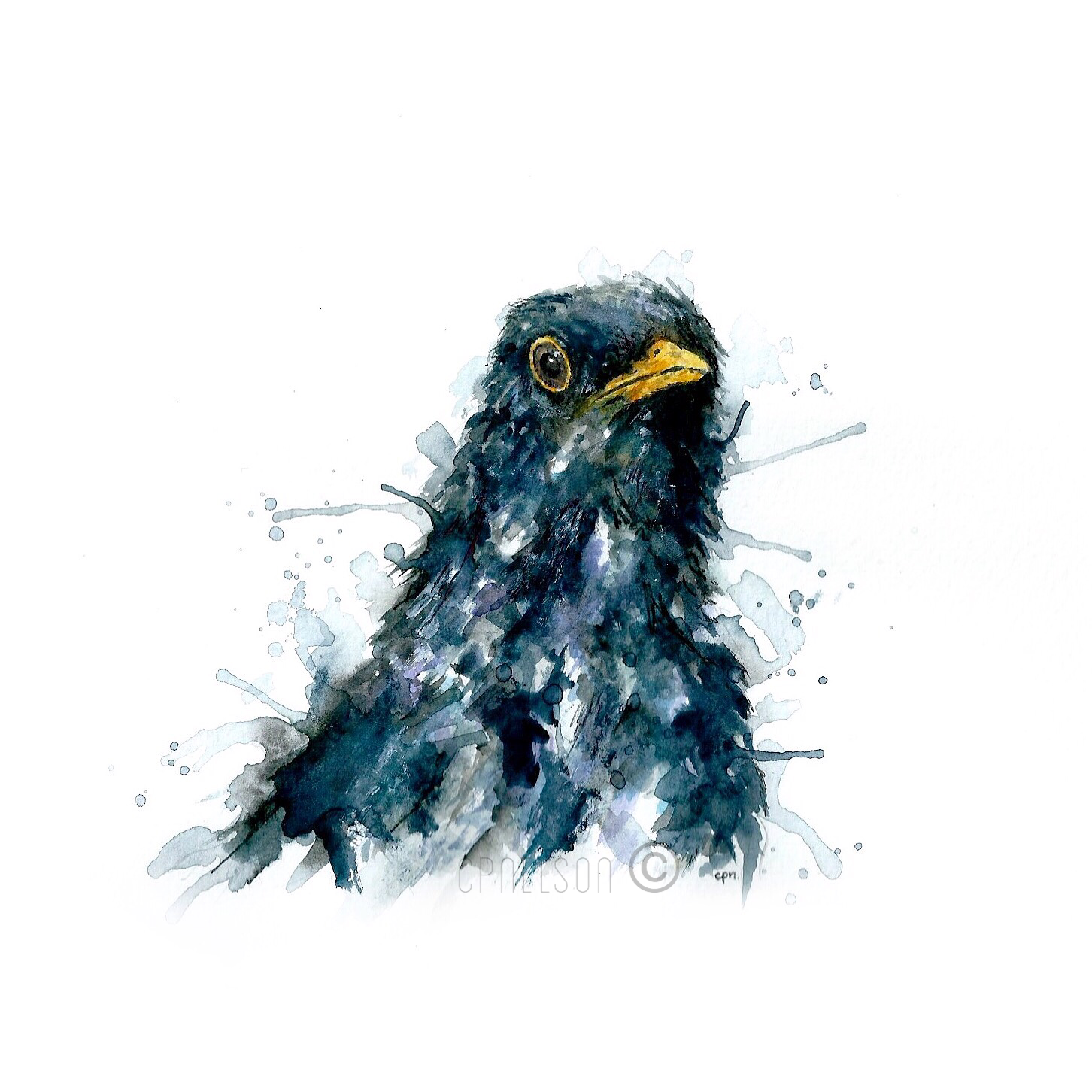 Blackbird Pt. II.png