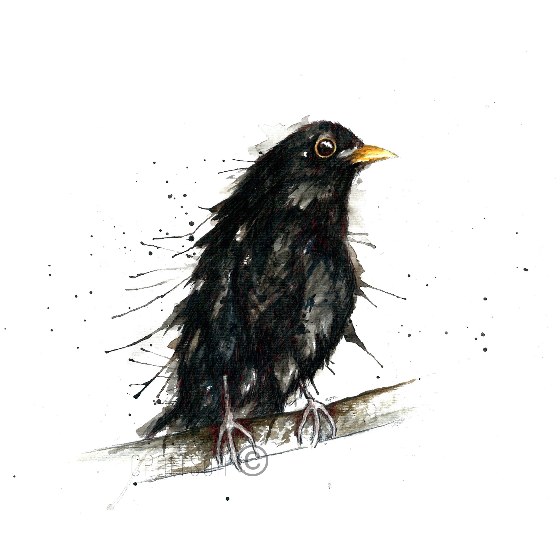 Blackbird Pt. I.png