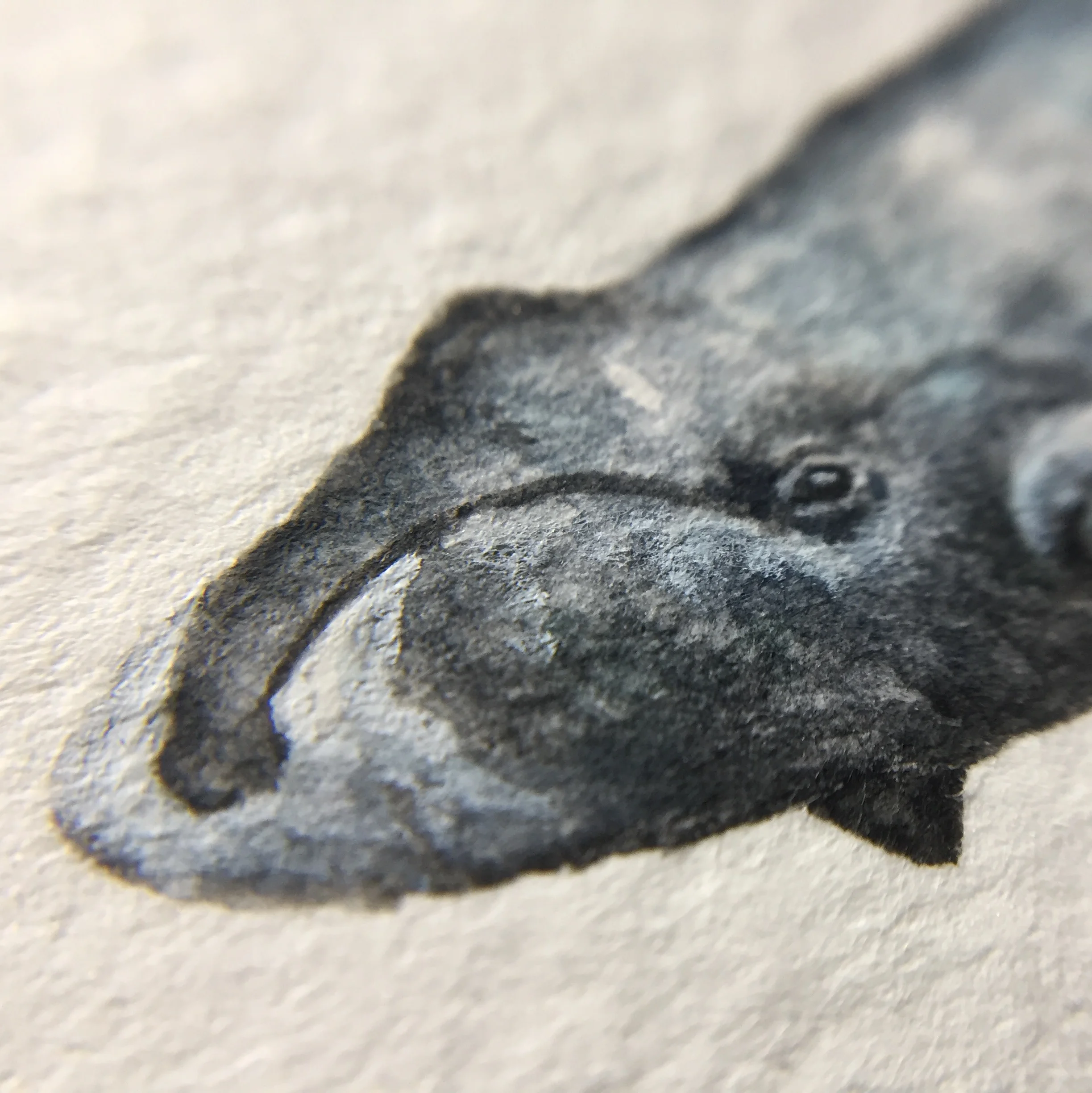 FullSizeRender 69.jpg