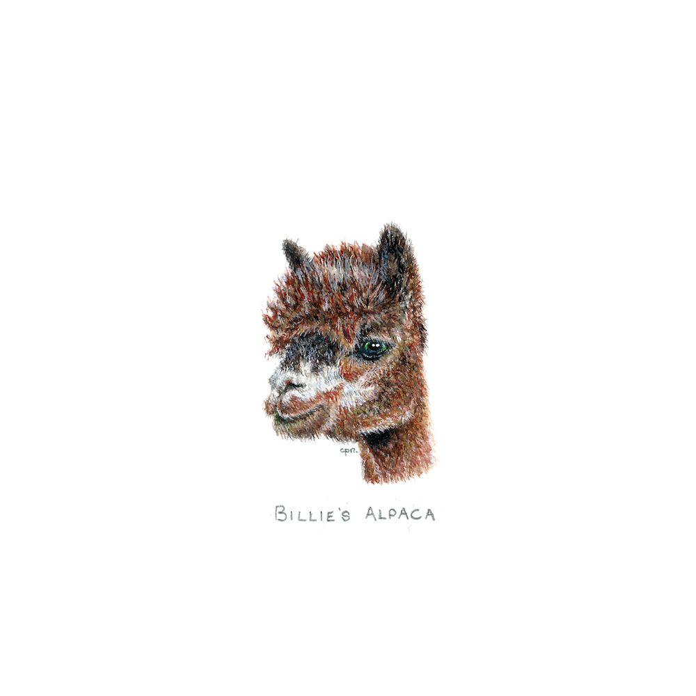 Billie's Alpaca (Low).png