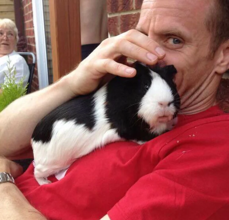 Guinea Pig.jpg
