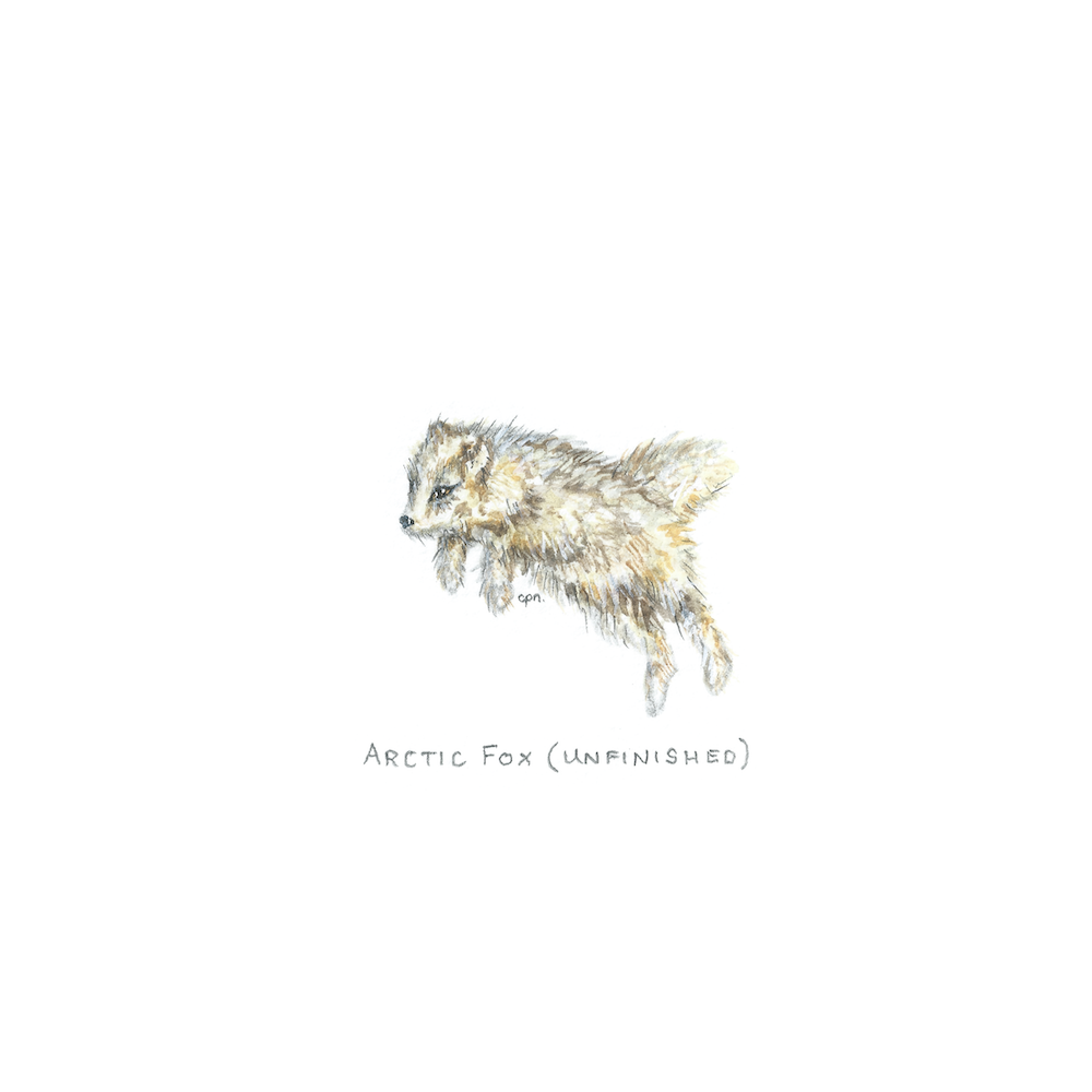 Arctic Fox (Unfinished) (Low).png