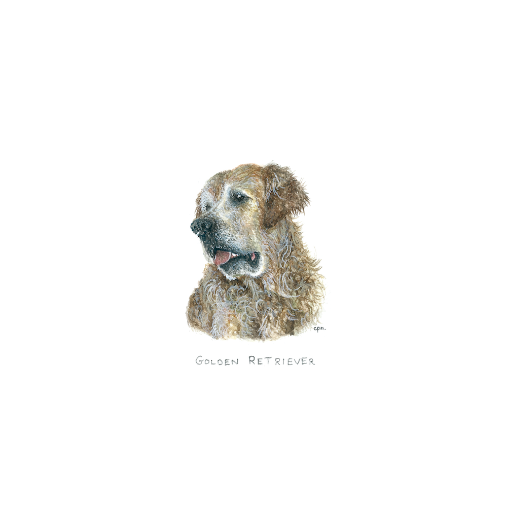 Golden Retriever (Funzy) (Low).png