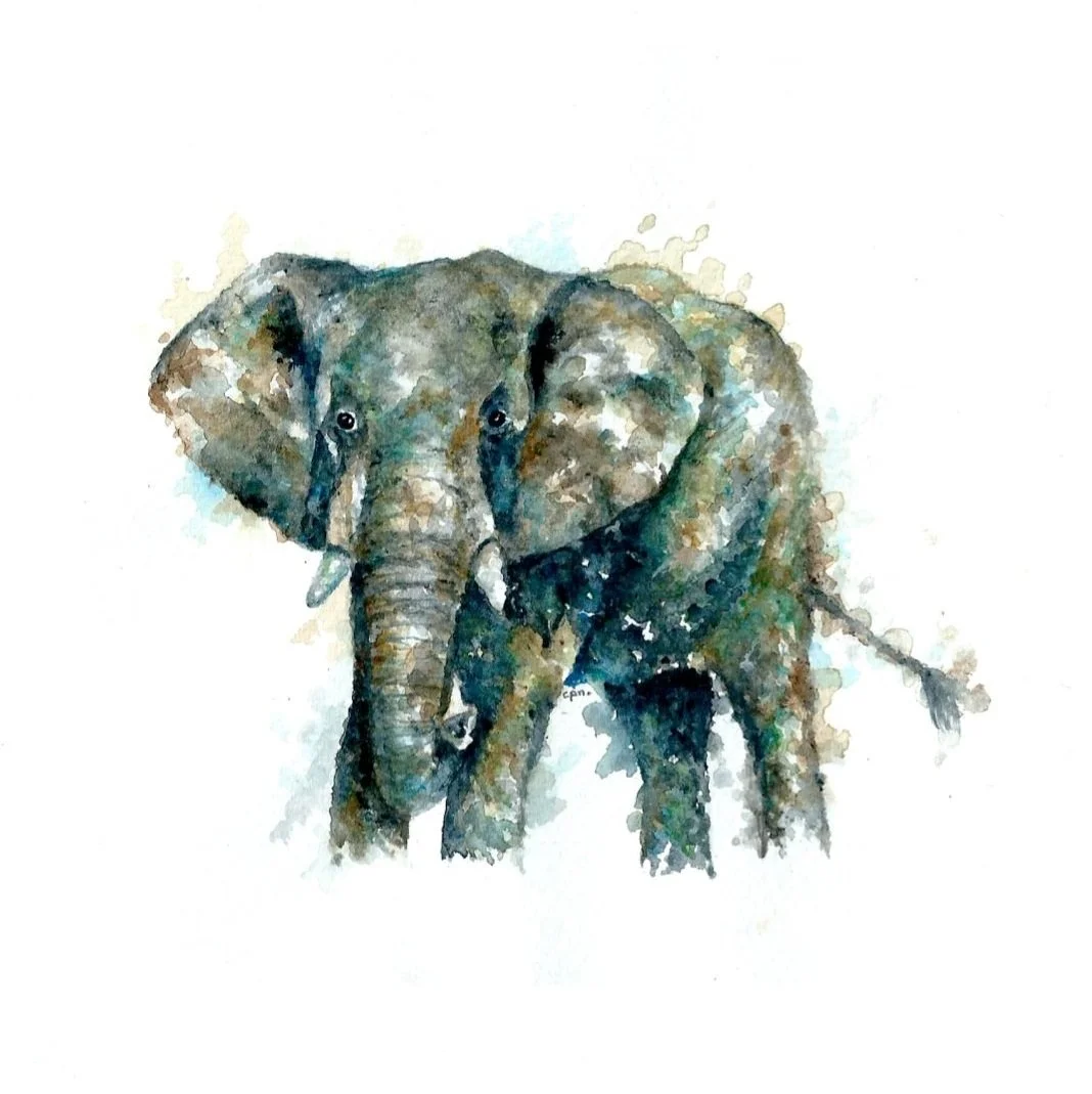 African%2BElephant.jpg