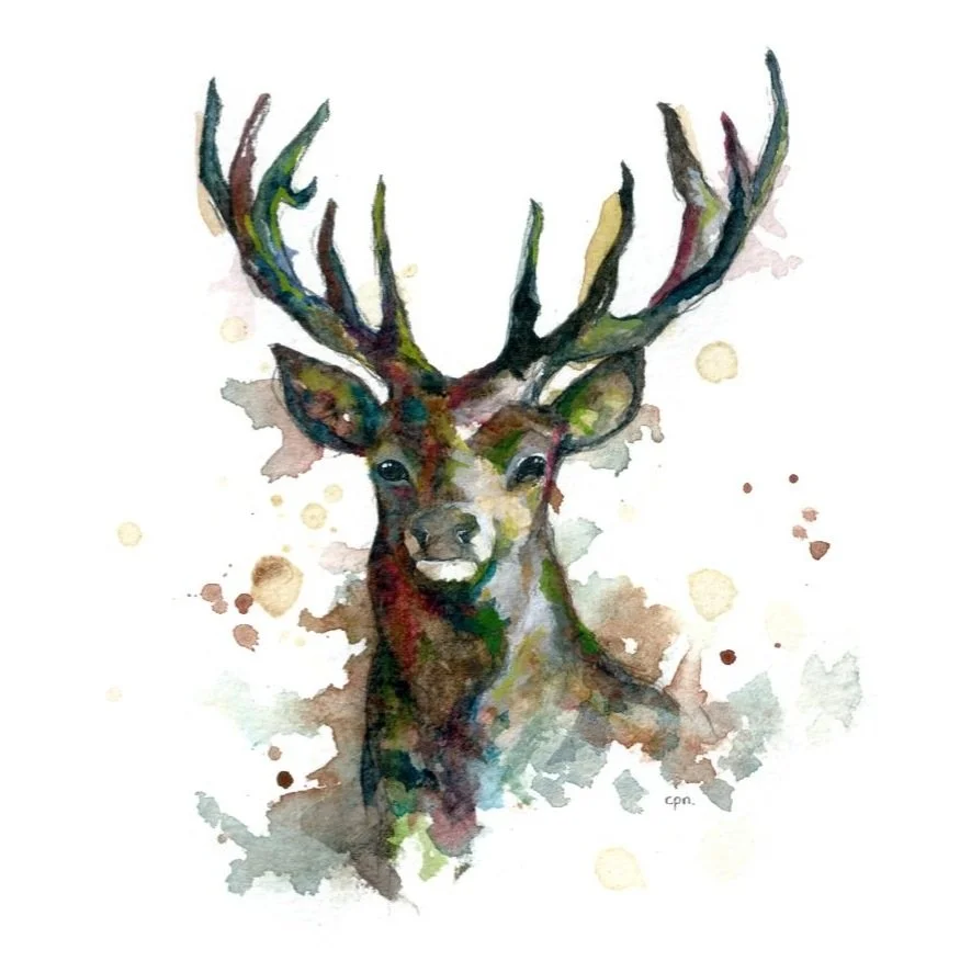 Stag%2BII.jpg