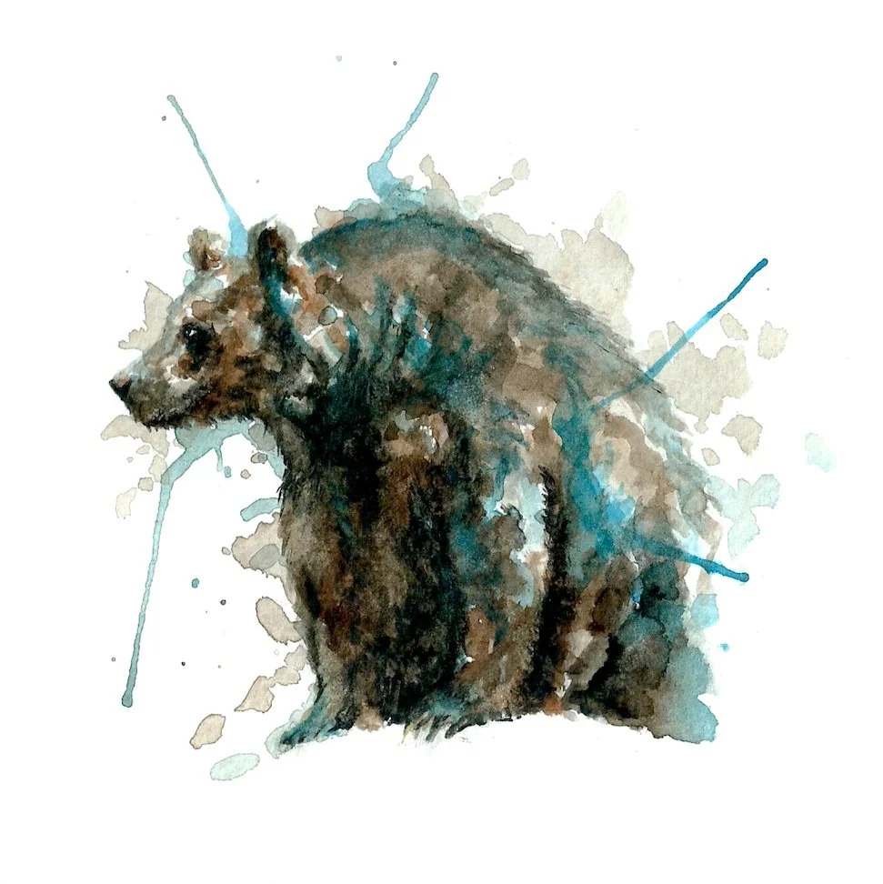 Brown+Bear.jpg