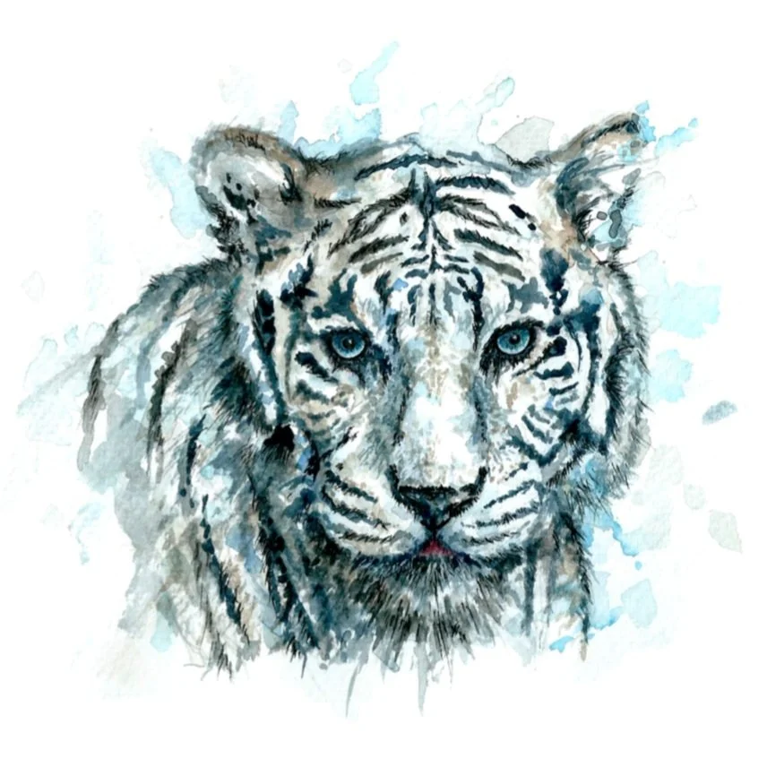 White+Tiger.jpg