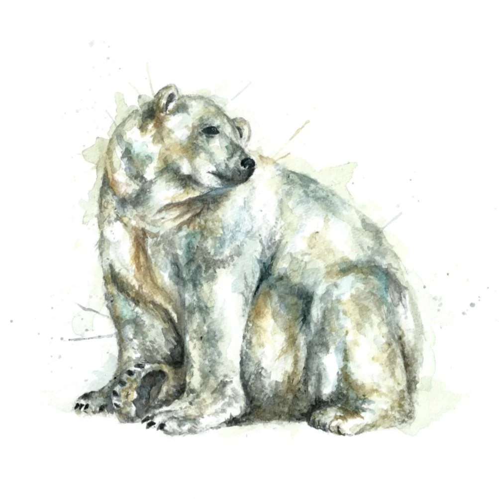 Polar+Bear.jpg