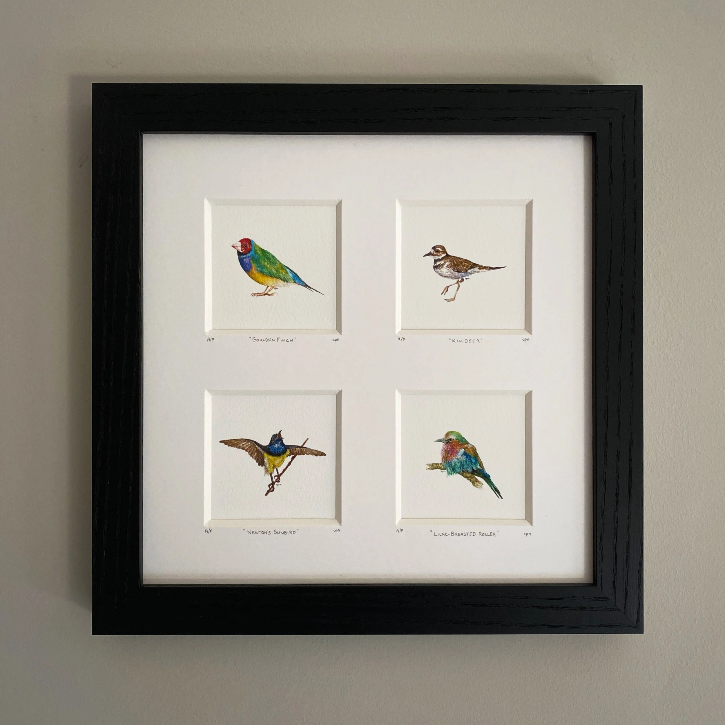 AfterlightImage 33.JPG