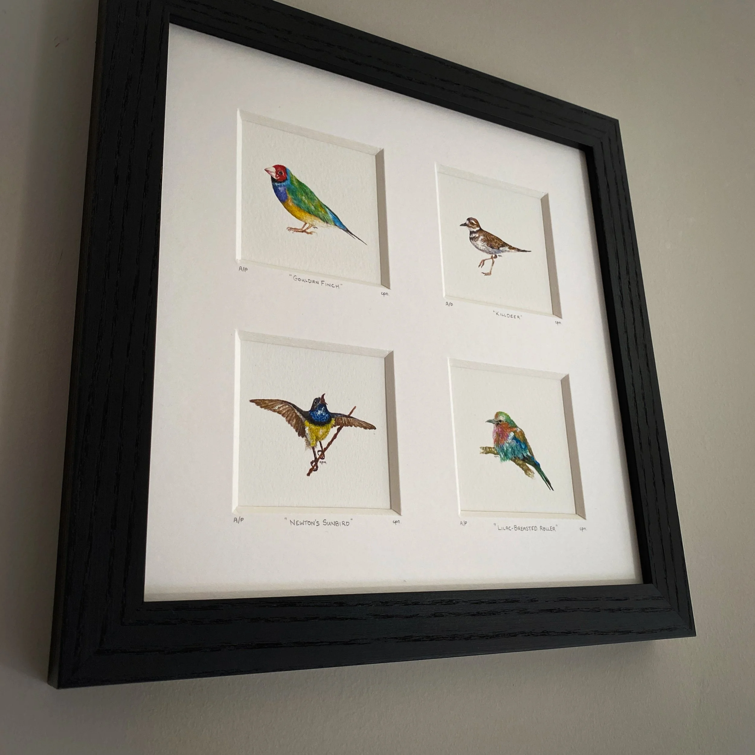 AfterlightImage 34.JPG