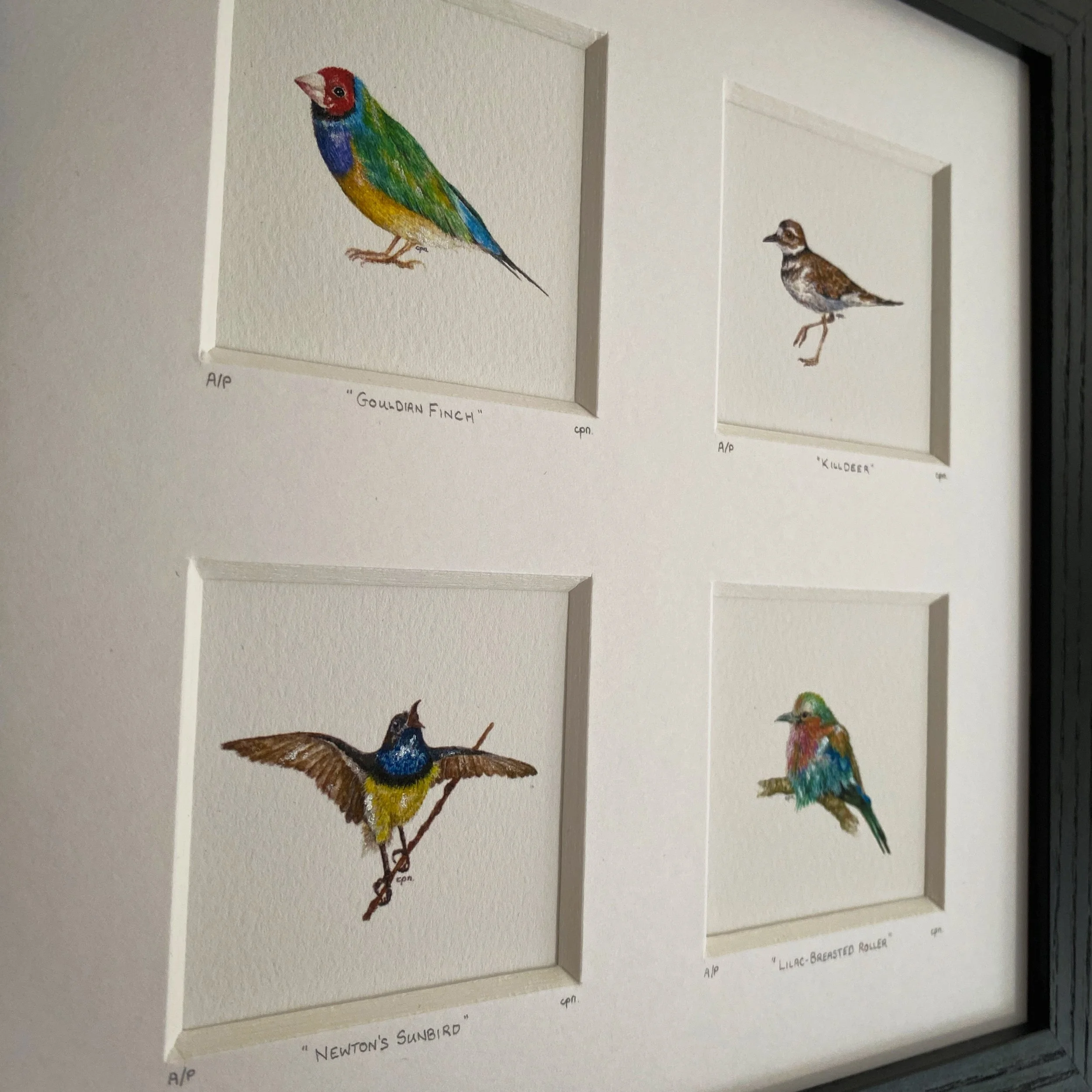 AfterlightImage 35.JPG