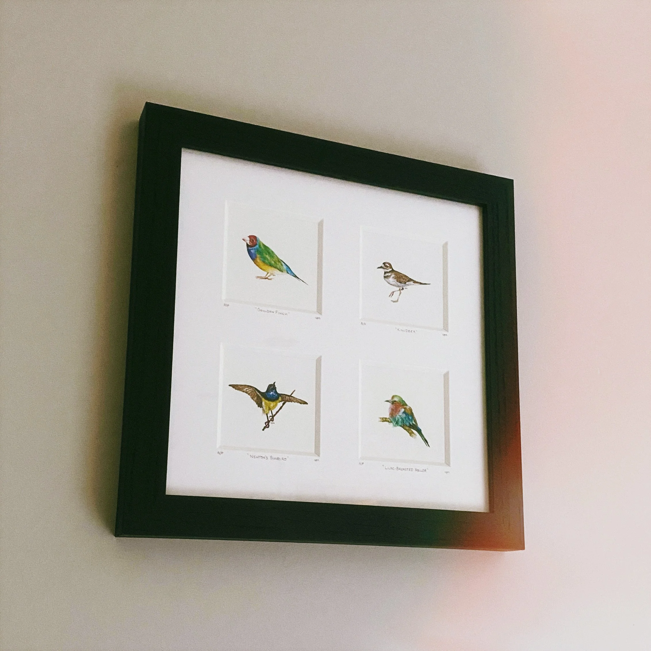 AfterlightImage 32.JPG