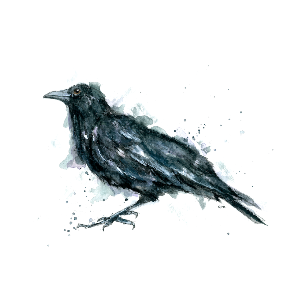 animaliaaaa copy.png