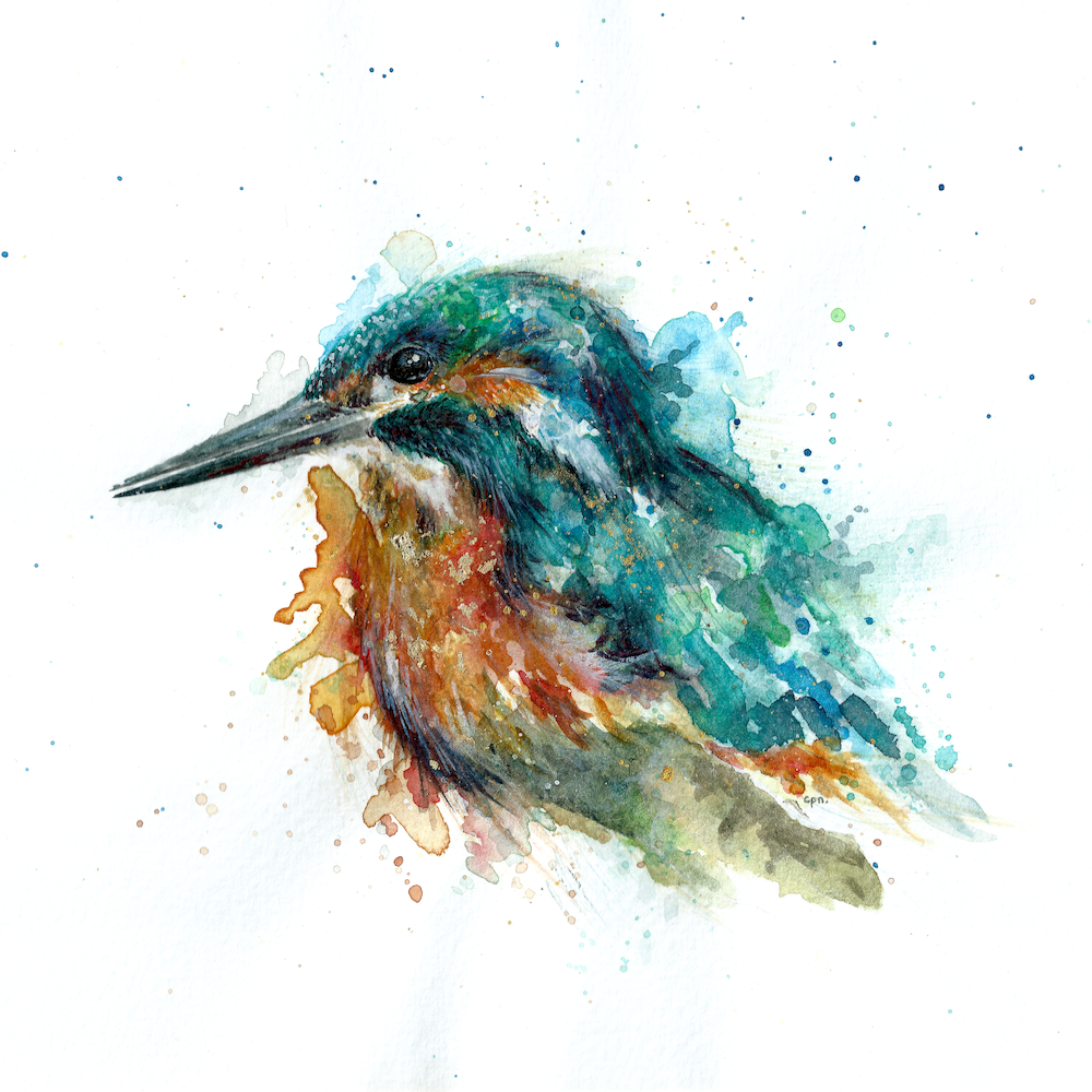 Kingfisher+copy+2.png