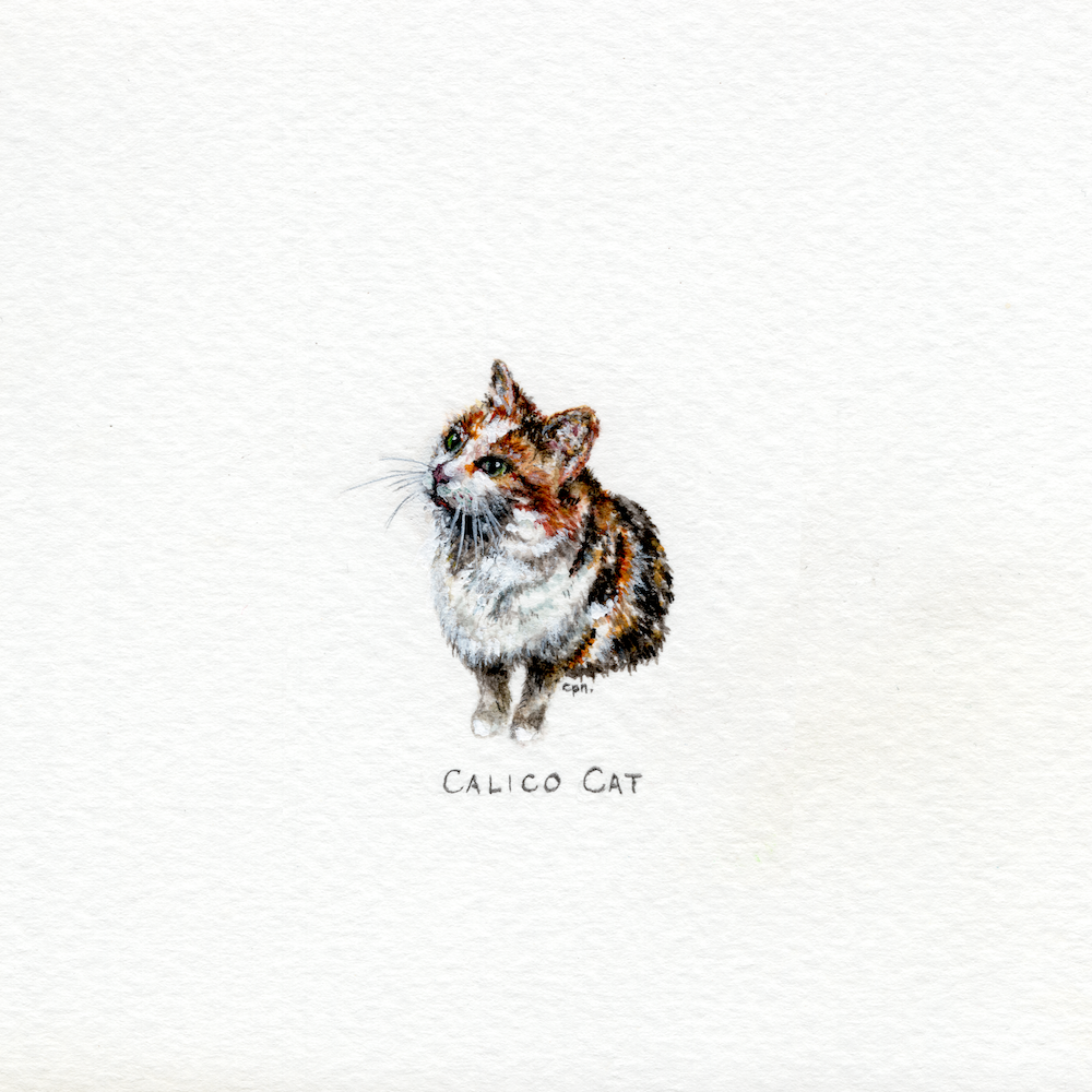 Calico Cat (Low).png