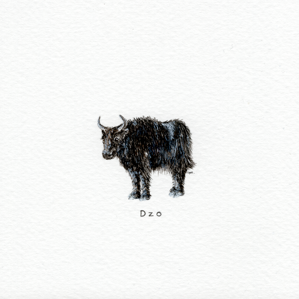 Dzo (Low).png
