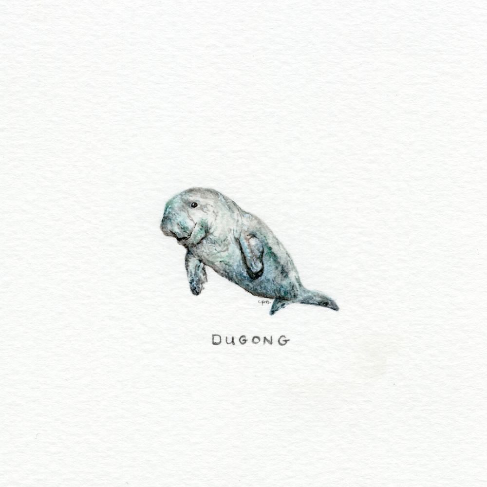 Dugong (Low).png