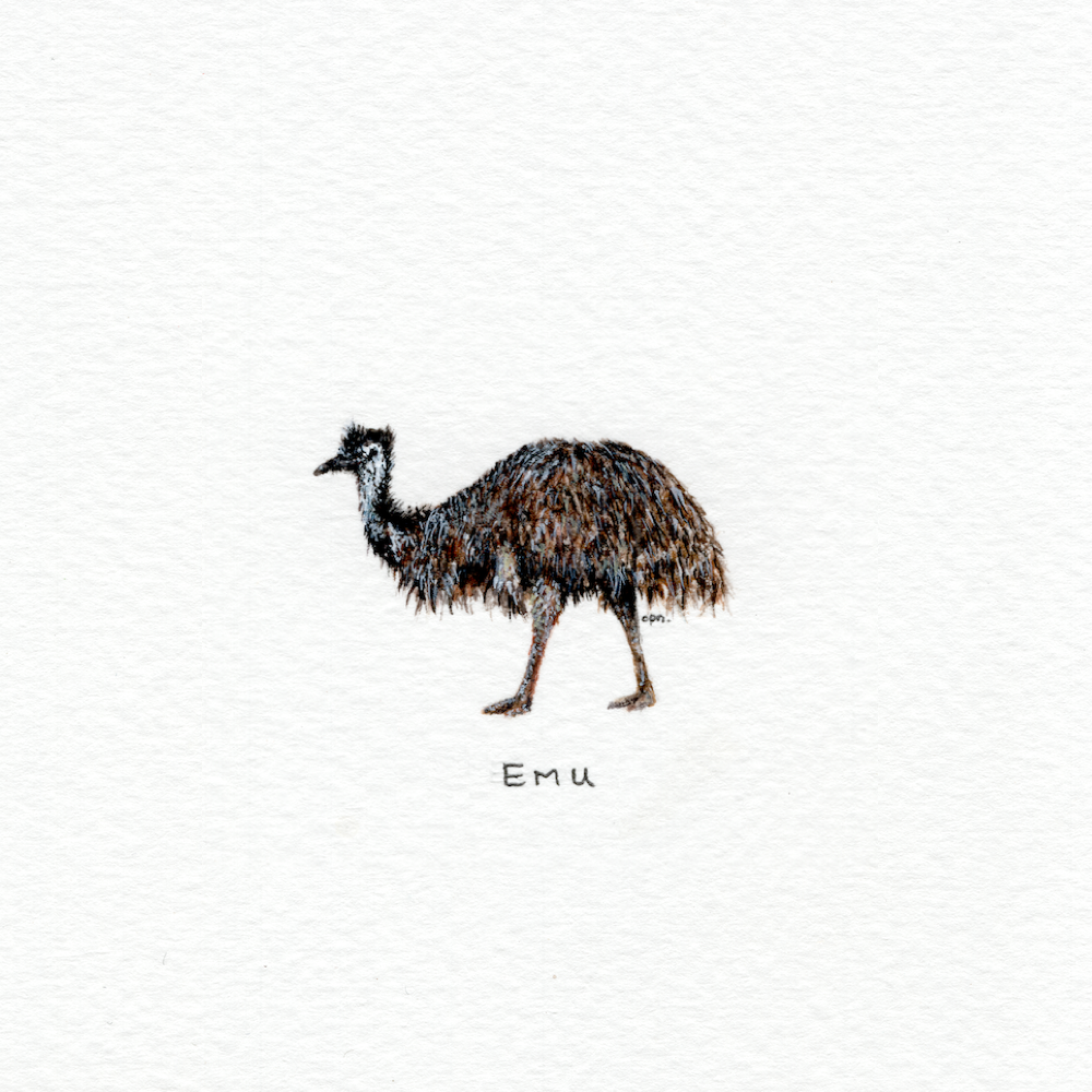 Emu (Low).png