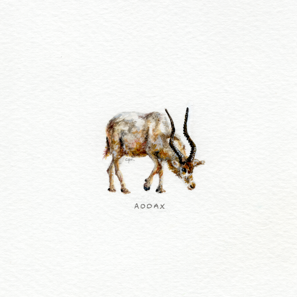 Addax (Low).png