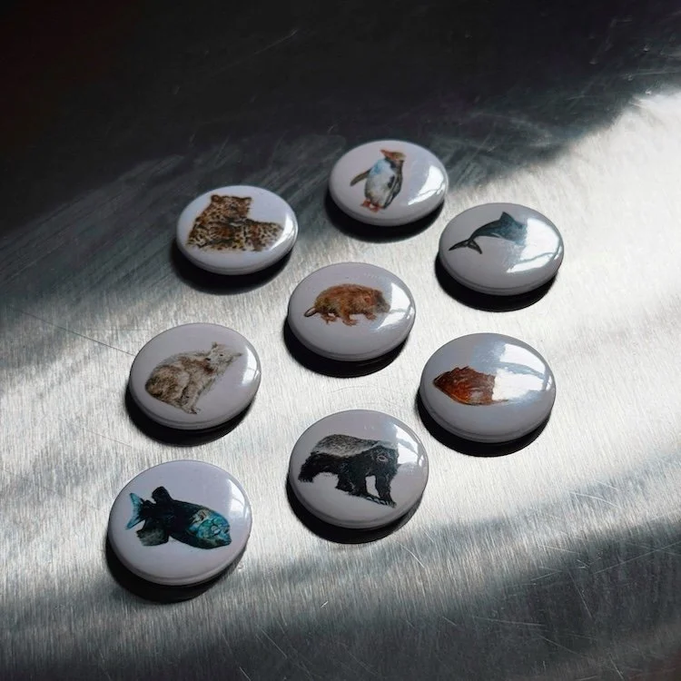 AfterlightImage 23 copy 2borderless.JPG