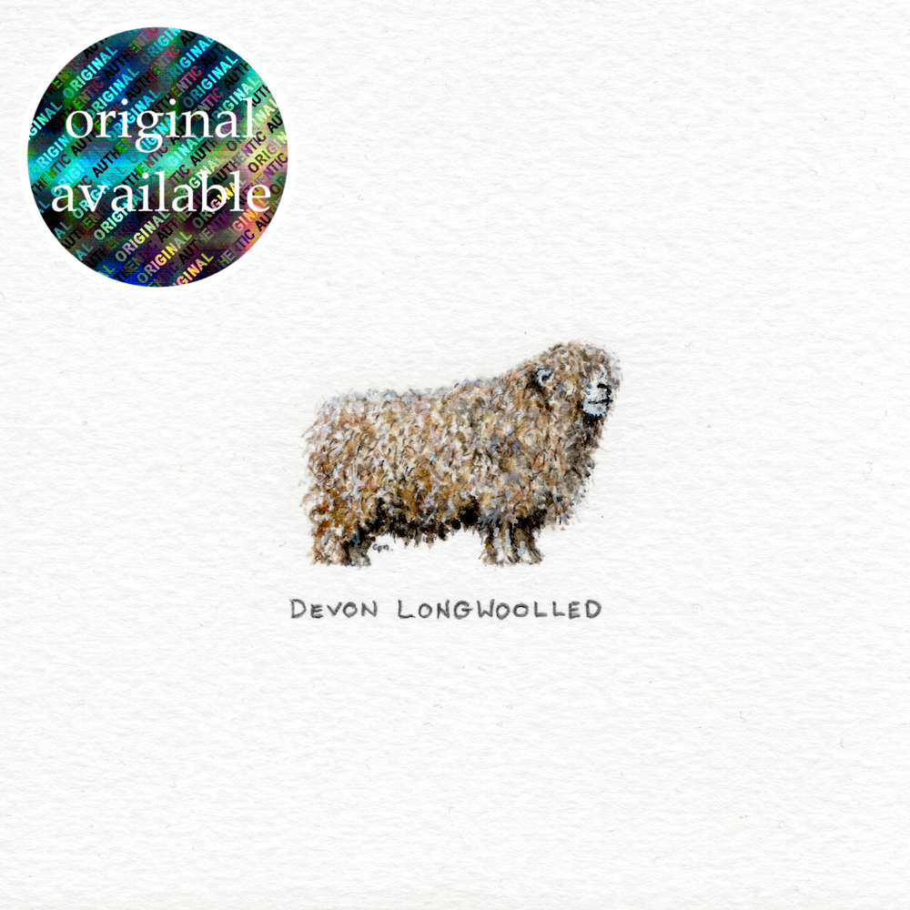 Devon Longwoolled (Original).png