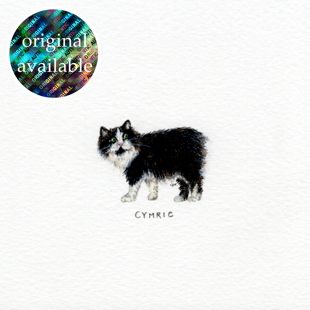 Cymric (Original).png