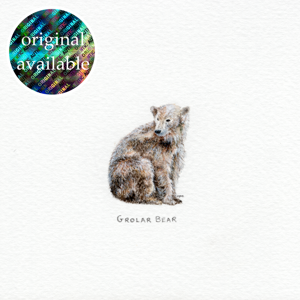 Grolar Bear (Original).png