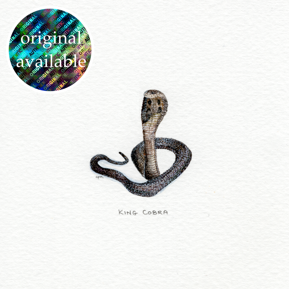 King Cobra (Original).png