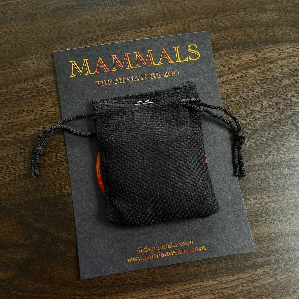 AfterlightImage 31.JPG