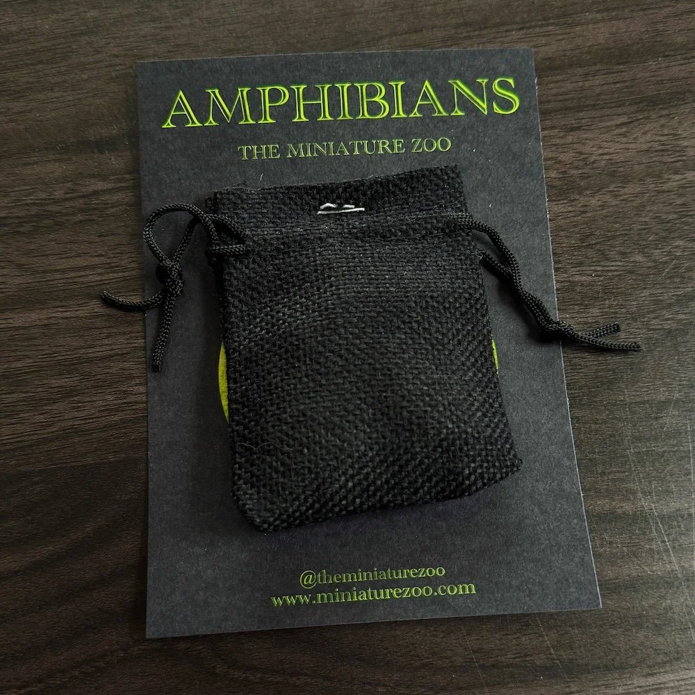 AfterlightImage 30.JPG