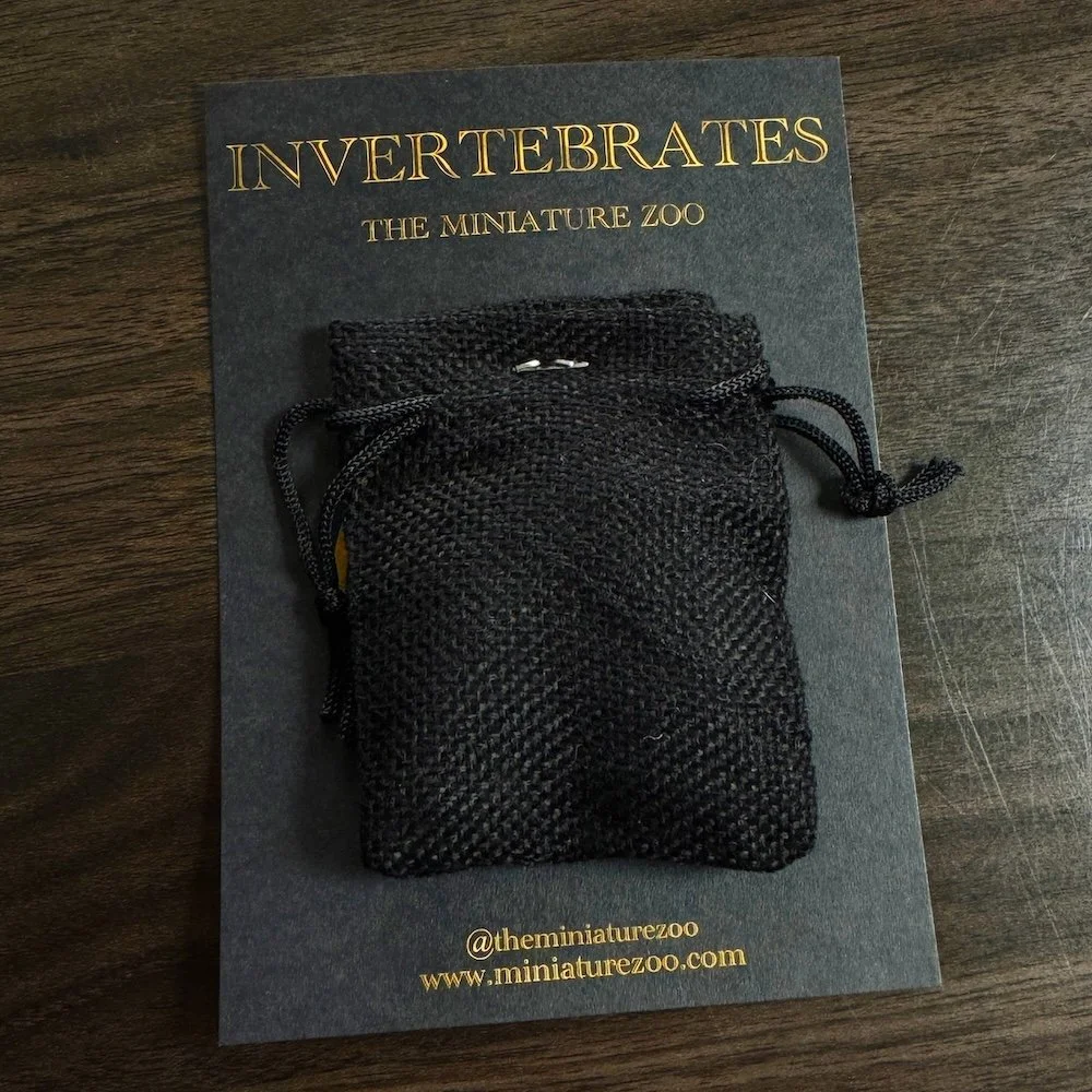 AfterlightImage 28.JPG