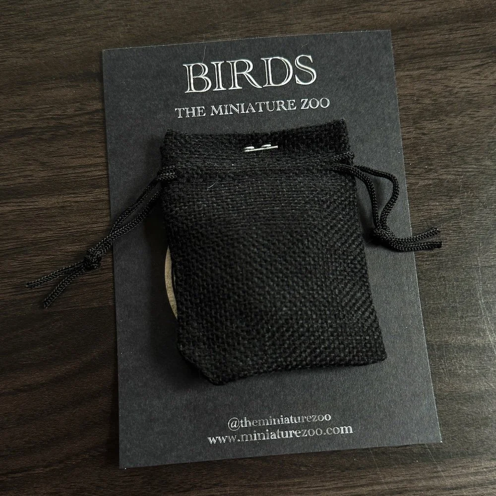 AfterlightImage 29.JPG