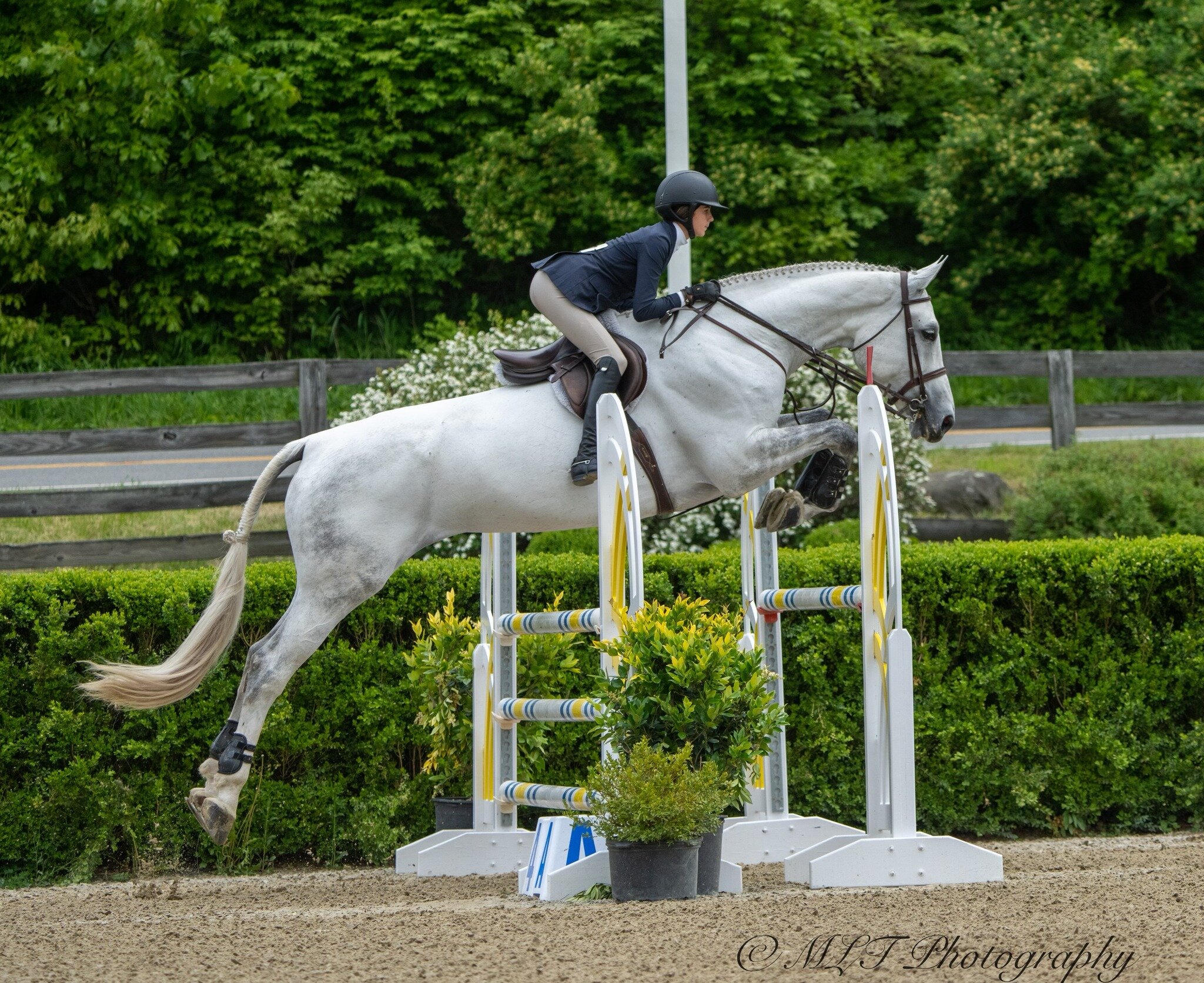 In her first visit to Old Salem Farm, Cecelia Perry rode Heritage Farm&rsquo;s Cornet Z to the WIHS Overall title 🏆

The duo topped the Jumper Phase and finished second in the Hunter Phase. Well done!

📸: @oldetownee 

#HeritageFarm #HeritageRiders