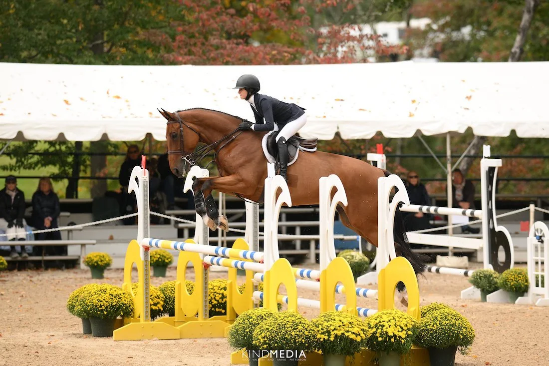 Beyond the Ingate with Cecelia Perry