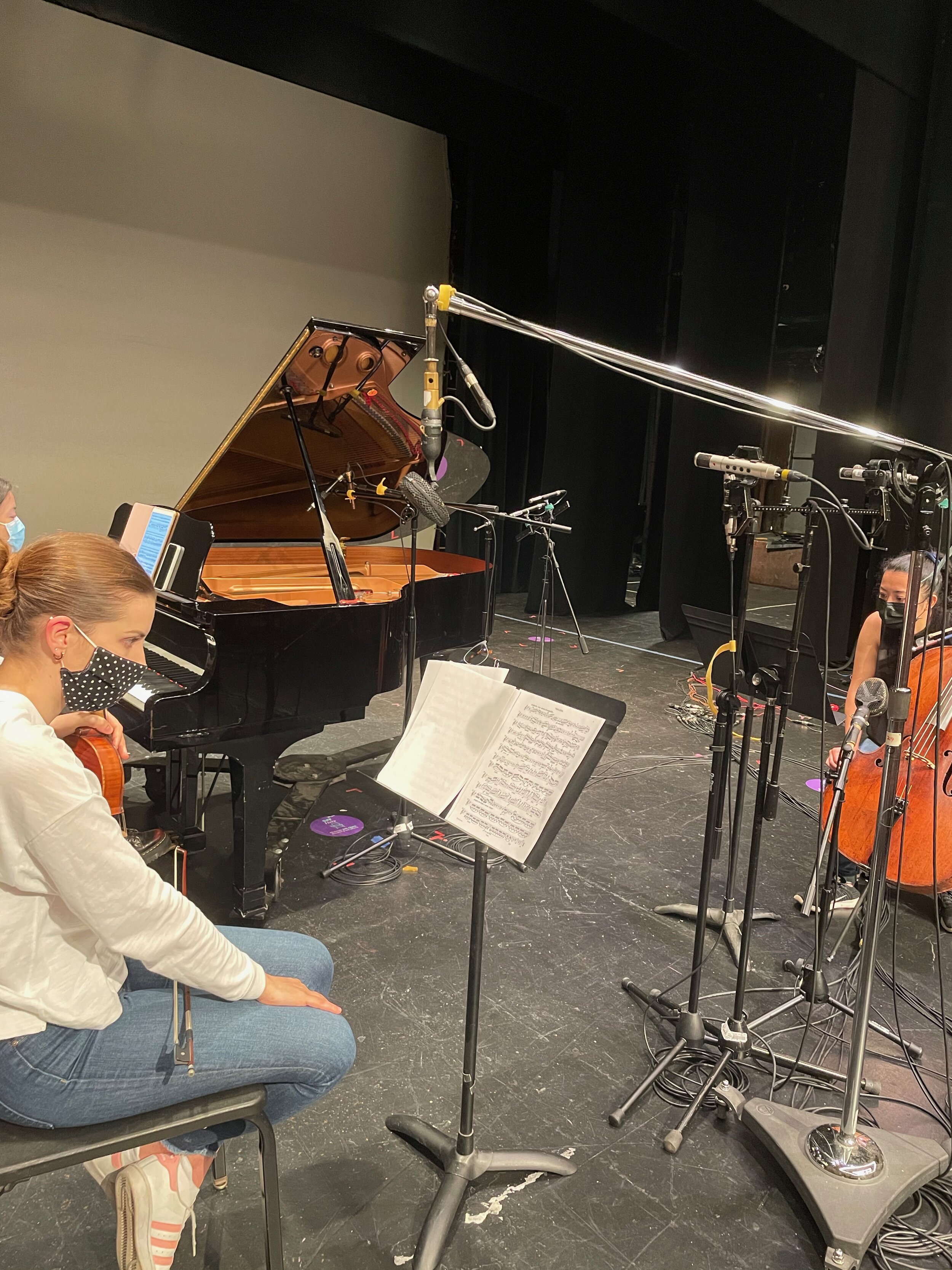 Violin Microphone Placement