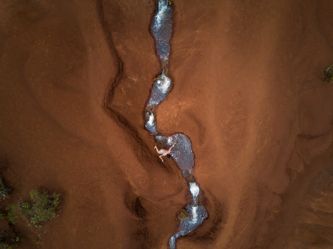 Nature_1.jpg