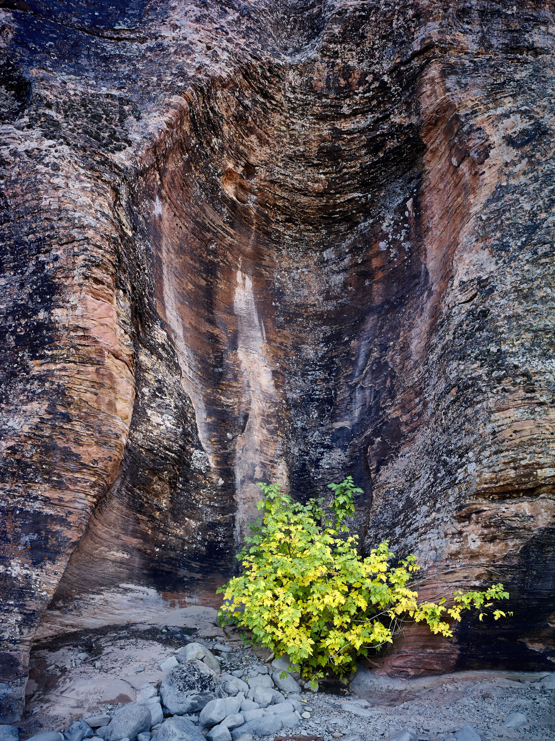 CF001099-2.jpg