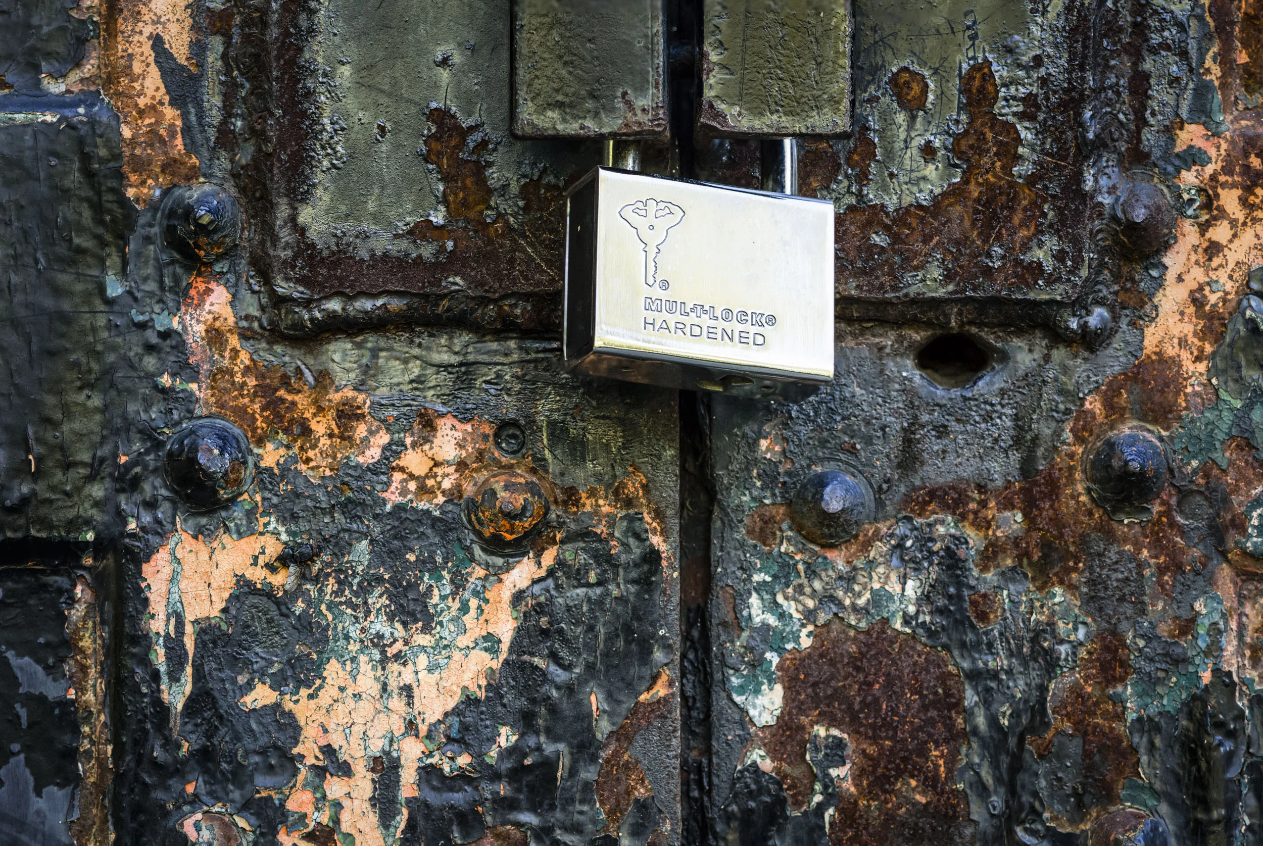 L1003184-Edit.jpg