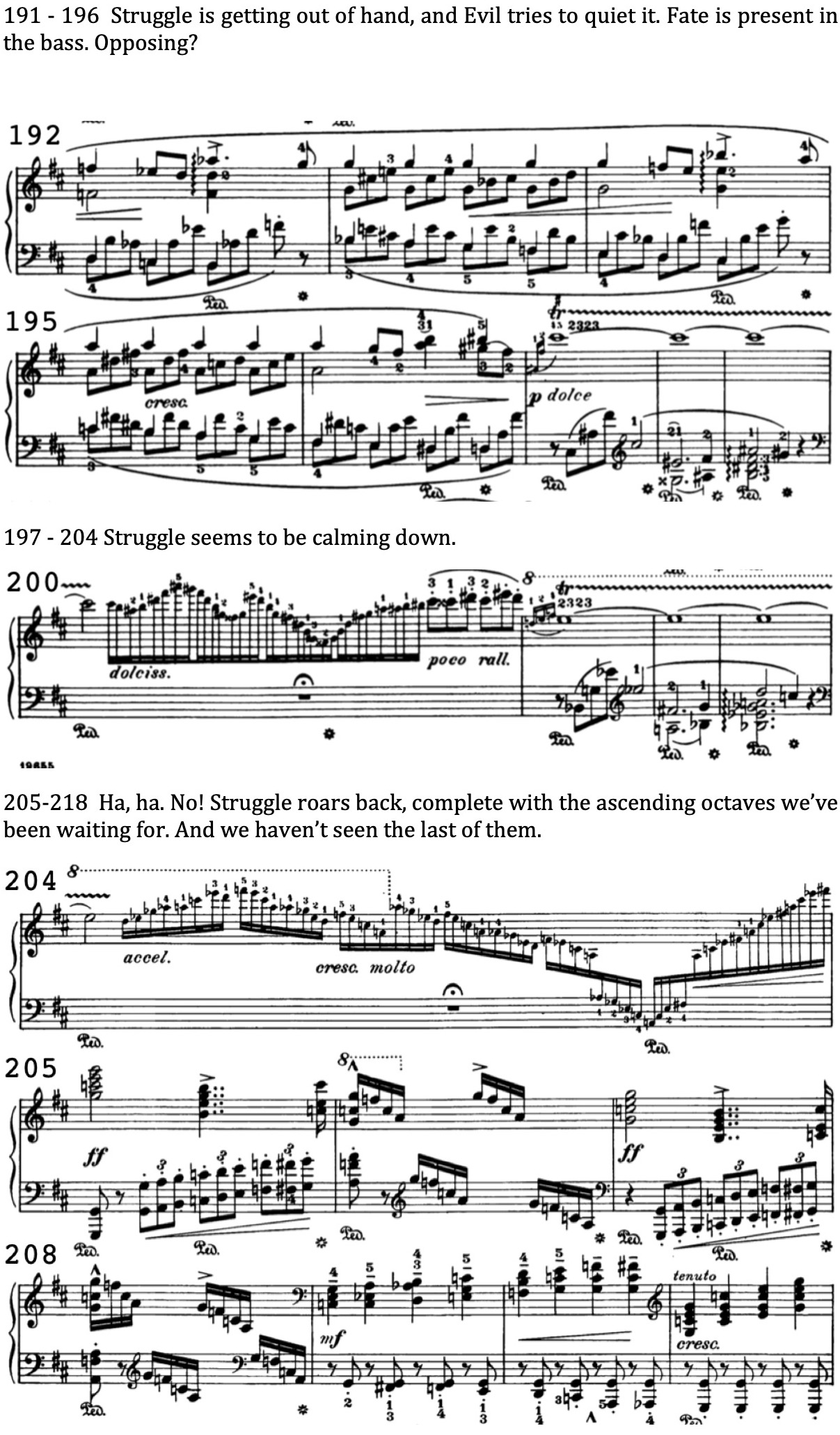 Liszt Sonata Web 7.jpeg