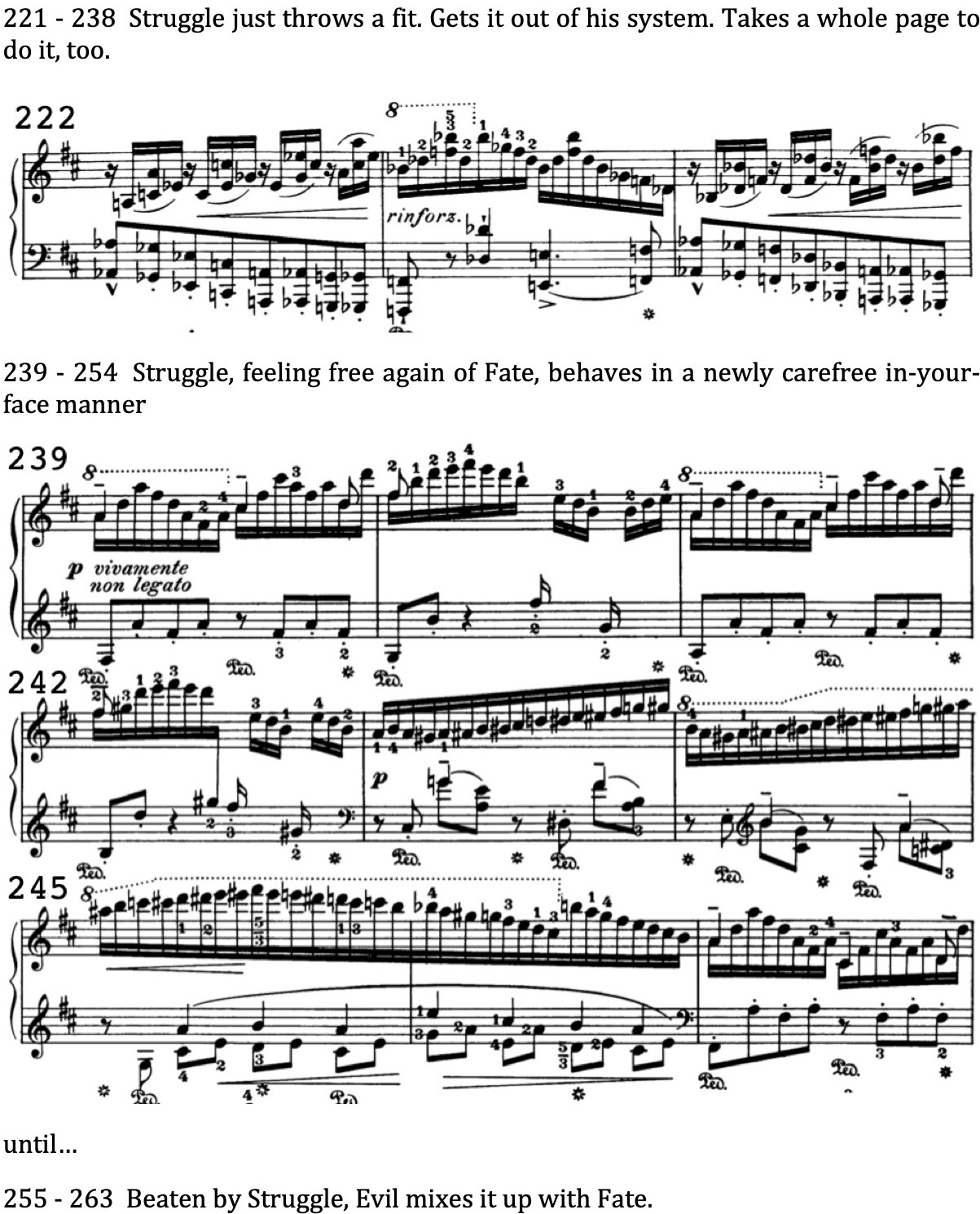 Liszt Sonata Web 8.jpeg